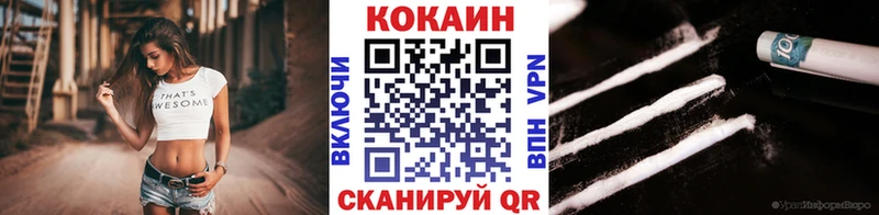 Cocaine Эквадор  darknet клад  Жиздра  хочу наркоту 