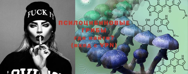 шишки Бронницы