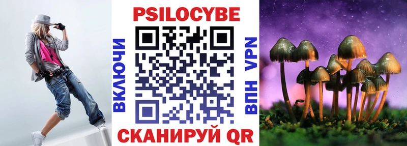 сколько стоит  Жиздра  блэк спрут tor  Галлюциногенные грибы ЛСД 